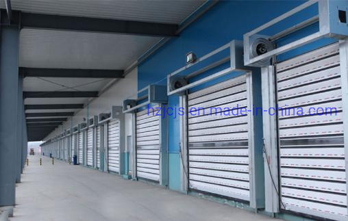 Hợp kim nhôm JTM-D03 Vòng xoắn ốc và cửa trập cửa tự động