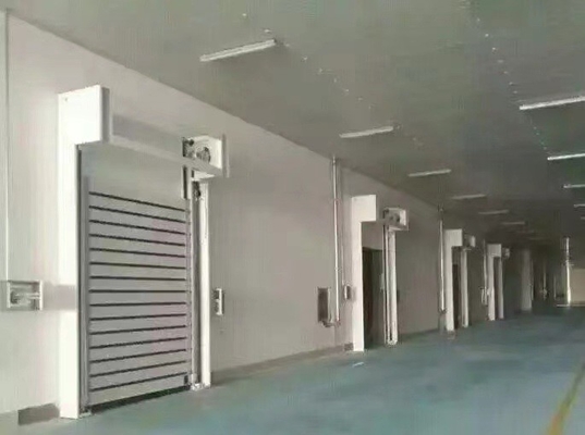 Nhanh lăn lên và cửa sổ cuộn vòng an ninh cửa garage với độ dày 40mm